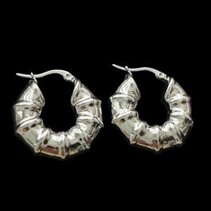 ✨Chic Silver Hoop Earrings Hypoallergenic